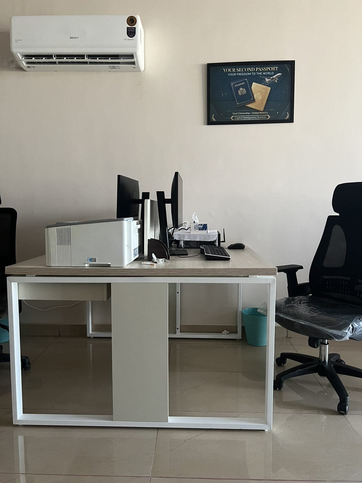 Immigration — Capital Group